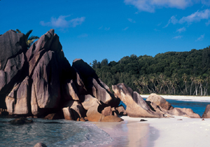 Anse Coco