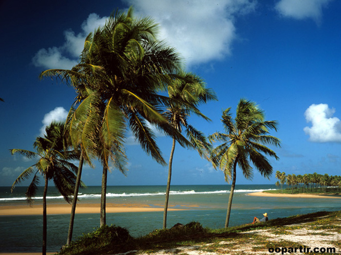 Barra do Jacuípe, Salvador © Embratur