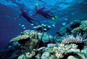 barri�re de corail