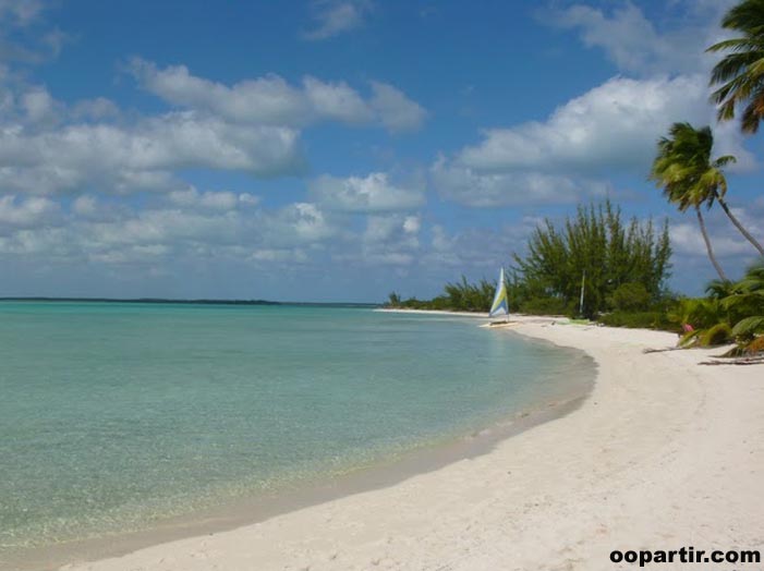 Beach Ti Amo, South Andros © KMG