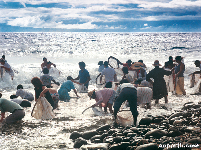 Bichiques  © Ile de la Réunion Tourisme