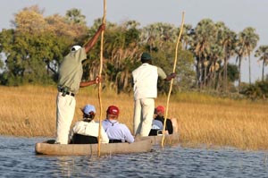 Delta de l'Okavango
