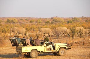 D�sert du Kalahari