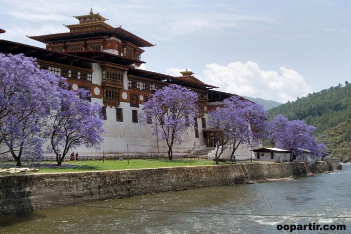 Punakha Drubchhen © Tourism Council of Bhutan