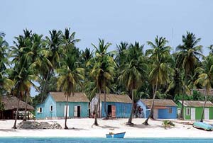 Saona