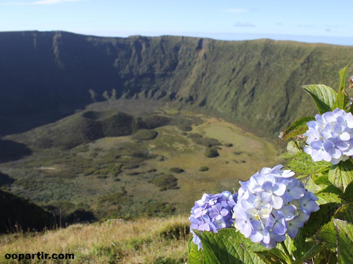 Caldeira de l'île de Faial © oopartir.com