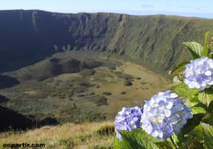Faial