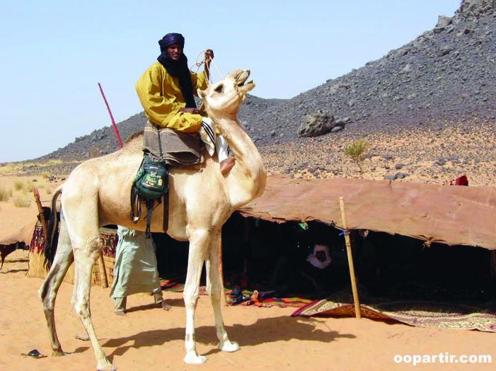 Campement touareg © Virginie Tremsal