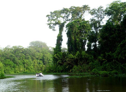 canal de Tortuguero