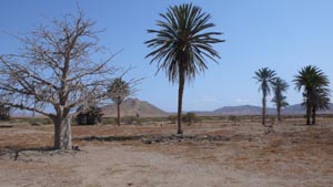 Boa Vista