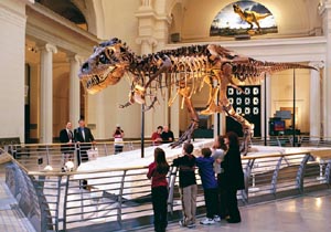 Field Museum