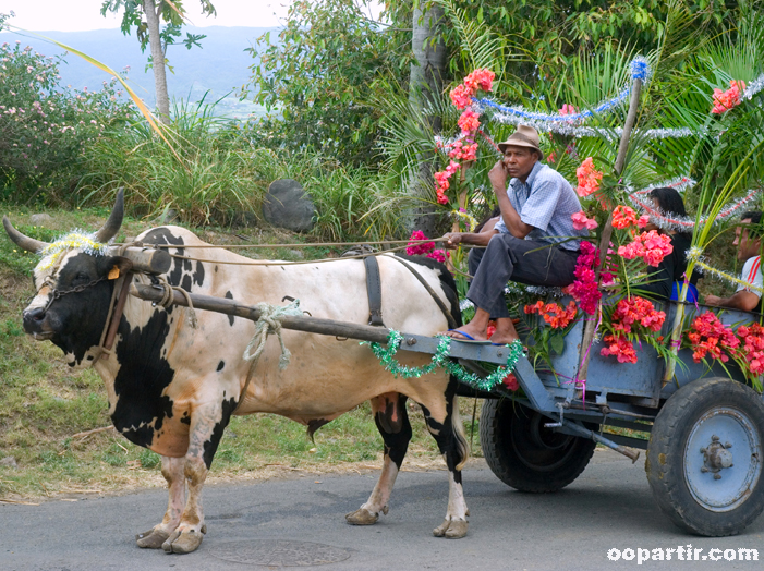 Sur une charette  © Ile de la Réunion Tourisme