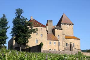 ch�teau de Pierreclos
