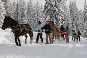 ski-jo�ring ou ski tract� par un cheval