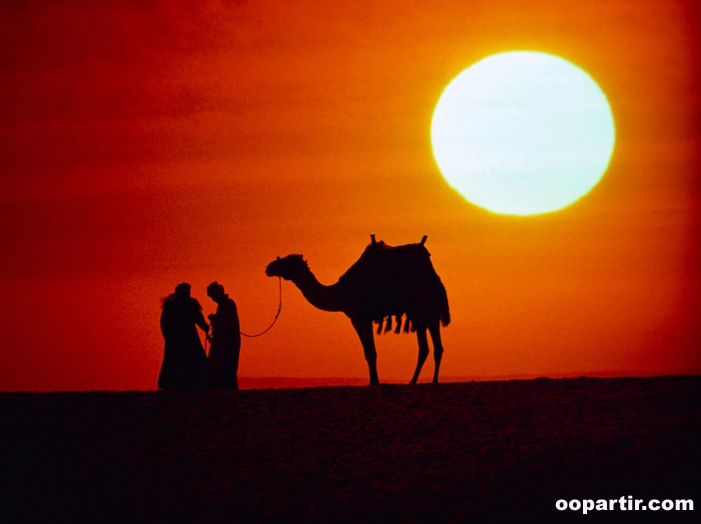 © Abudhabi tourism Authority
