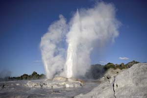 Geysers � Rotorua