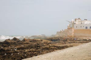 Essaouira
