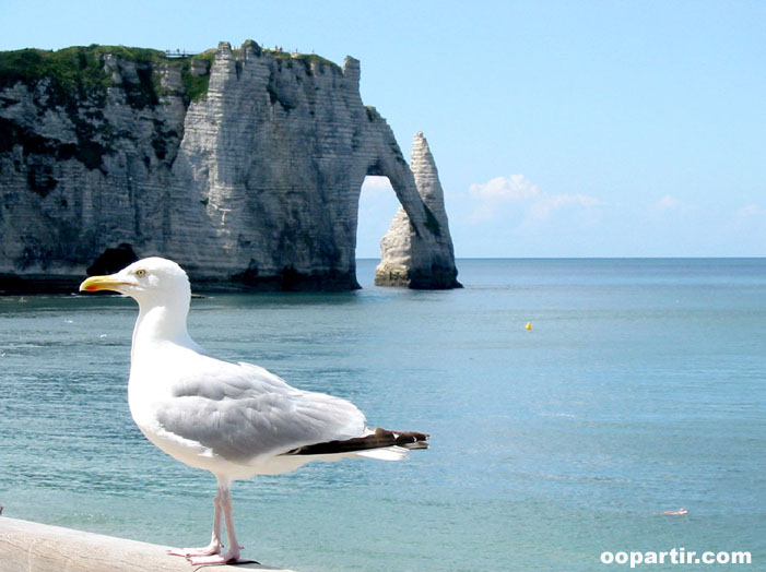 Falaises d'Etretat © CRT Normandie