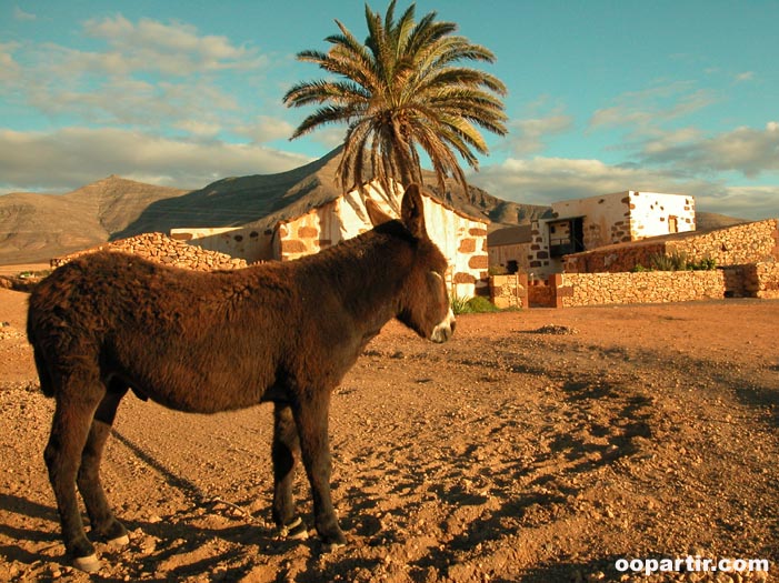 Fuerteventura © oopartir.com