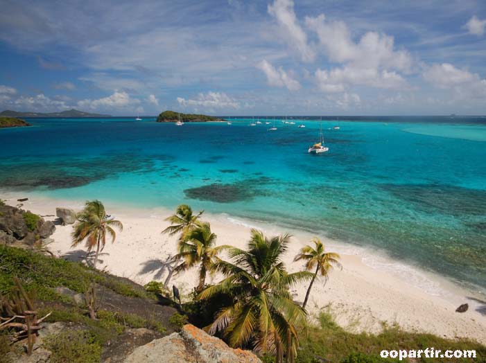 Tobago Cays, Grenadines ©  Kay Wilson