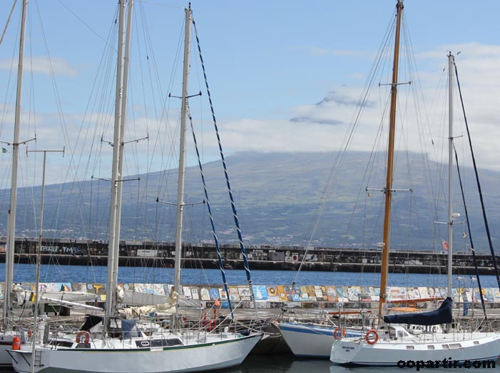 La marina de Horta (île de Faial) © oopartir.com