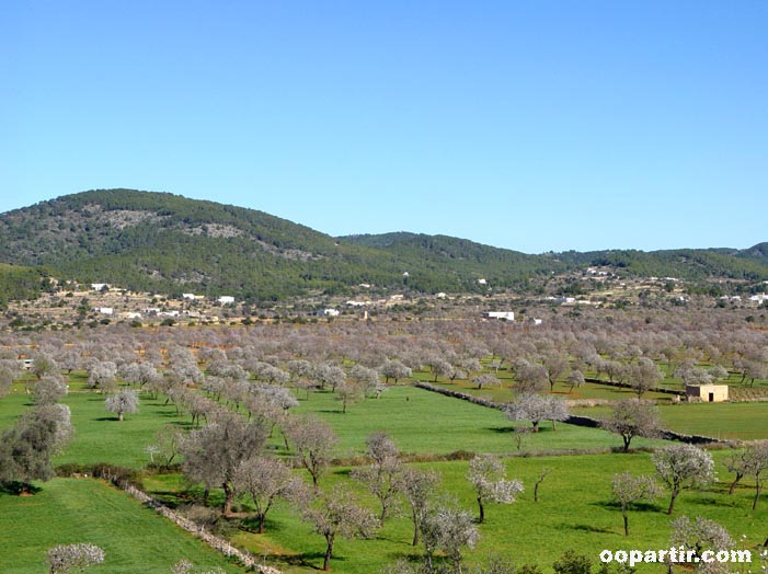 Paysage de l'intérieur © Ibiza Gran Hotel