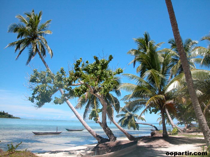 Ile aux Nates (Sainte-Marie) ©  oopartir.com