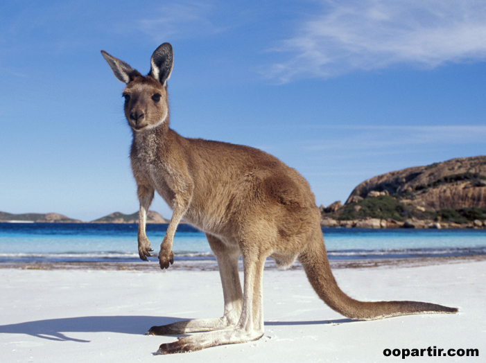 © Tourism Australia