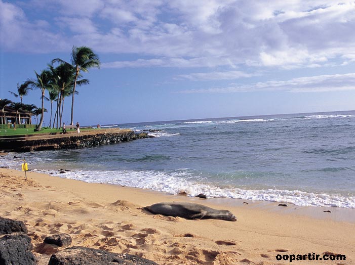 kauai