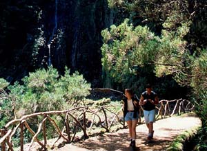 De Raba�al � la cascade de Risco, 