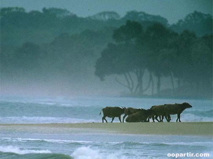 Parc de Loango © OT Gabon