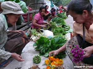 La place Nam Phou au coeur de Vientiane