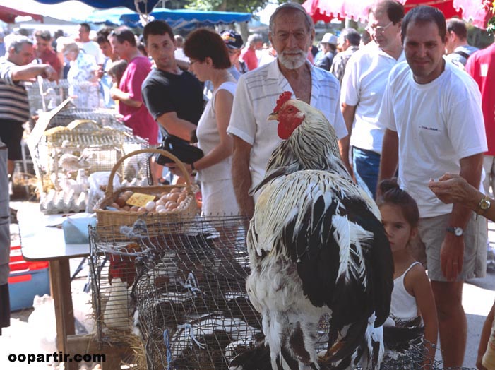 Marché, Louhans © Alain Doire, Bourgogne Tourisme