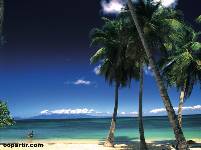 Marire-Galante © CT des Îles de Guadeloupe