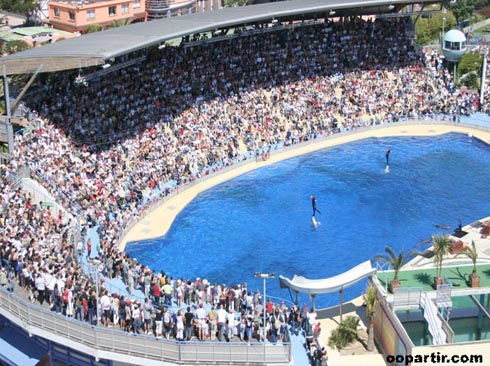 rencontre avec otaries marineland avis