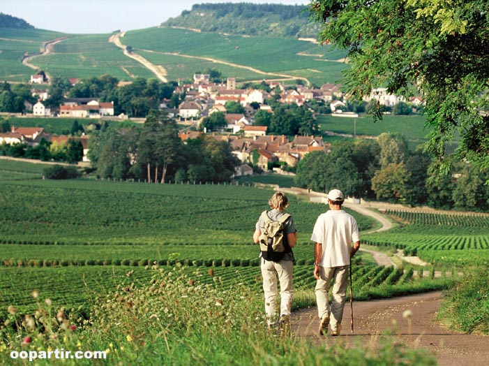Mercurey © Alain Doire, Bourgogne Tourisme