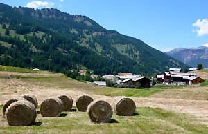 Molines
