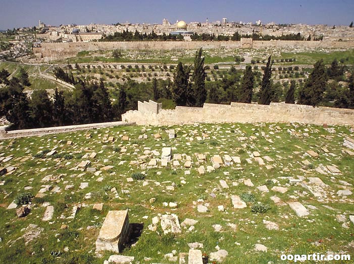 Mont des Oliviers, Jérusalem © OT Israël