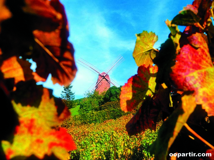 Moulin de Verzenay © MAURY