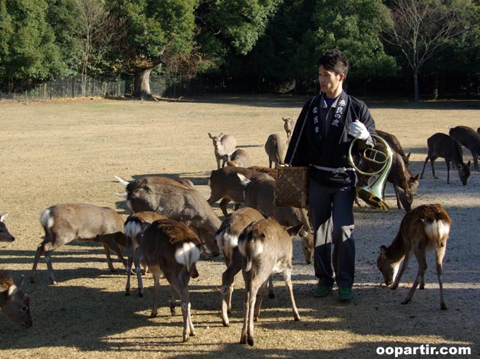 Nara ©Yasufumi Nishi/© JNTO