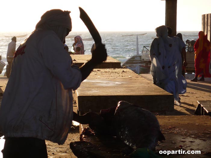 Nouakchott © oopartir.com