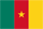 drapeau Cameroun