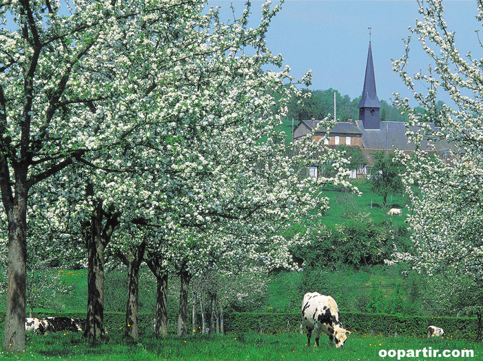 Paysage normand © CRT Normandie