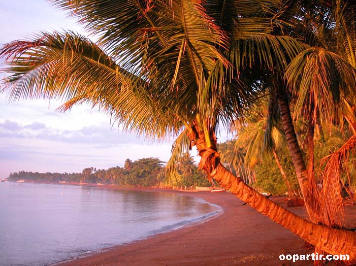 plage à Bohol © oopartir.com