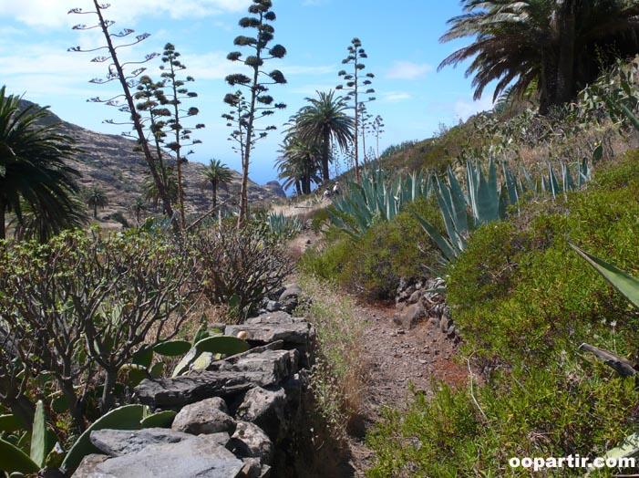 La Gomera © oopartir.com