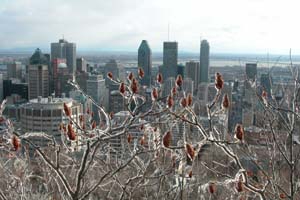 Vue depuis le parc Mont-Royal