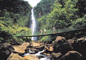 Chutes du Carbet