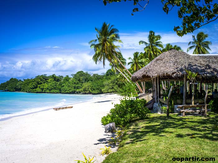 plage Pristine - ile Espiritu Santo © David Kirkland