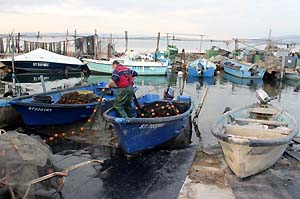 Pointe Courte