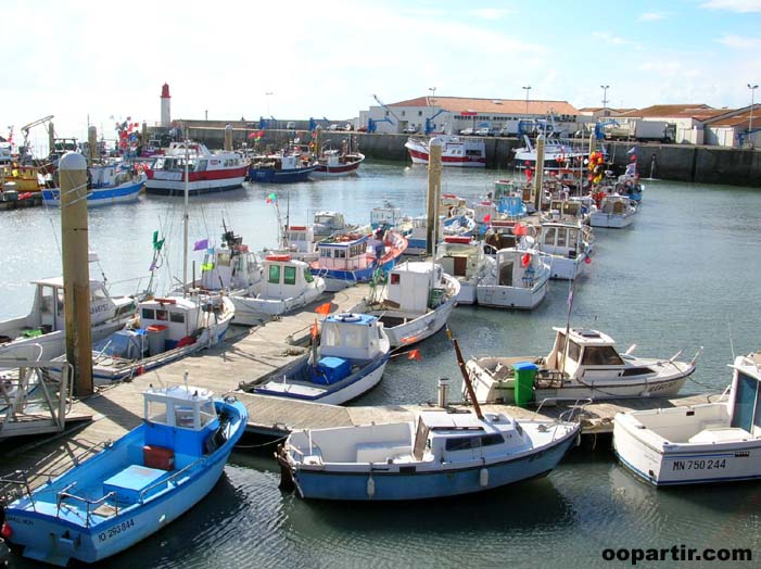  Port Cotiniere, Oléron © CRT Poitou-Charentes